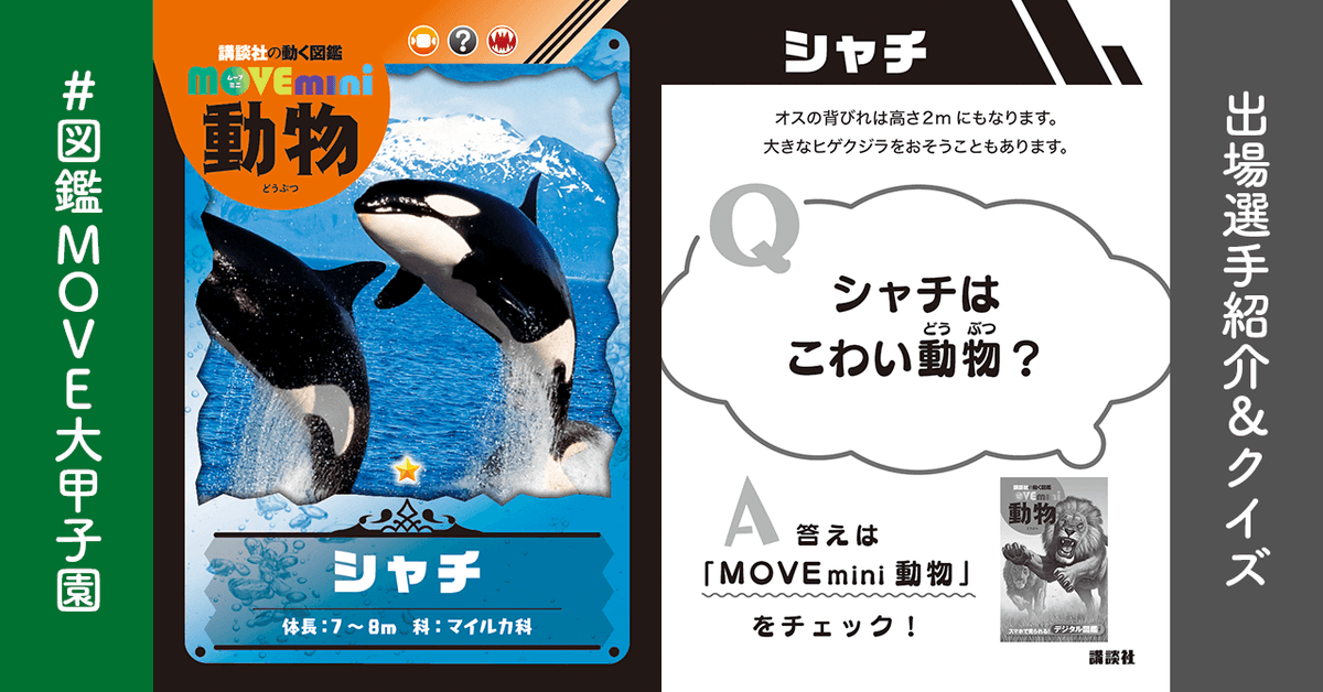 創刊10周年 講談社の動く図鑑move 公式 選手紹介 シャチ 動物組 国語s 算数b 理科b 社会a 体育s オスの背びれは高さ2mにも メス 母親 を中心とする群れで暮らし 大きなヒゲクジラを襲うこともある オス8m メス7m 日本近海 世界中の海に 創刊10周年 講談社の動く図鑑move 公式 選手紹介 シャチ 動物組 国語s 算数b 理科b 社会a 体育s オスの背びれは高さ2mにも メス 母親 を中心とする群れで暮らし 大きなヒゲクジラを襲うこともある オス8m メス7m 日本近海 世界中の海に