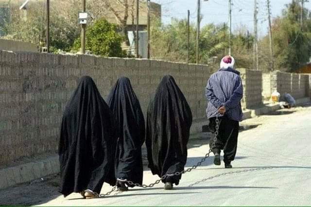 pascalfagnoux's tweet photo. A ma gauche voilà comment vivaient les femmes dans les années 60 en Europe....
A ma droite voilà comment elles pourraient vivre d'ici à trente ans grâce à la naïveté ou à la lâcheté de nos élites. https://t.co/4itXqE3Xs2