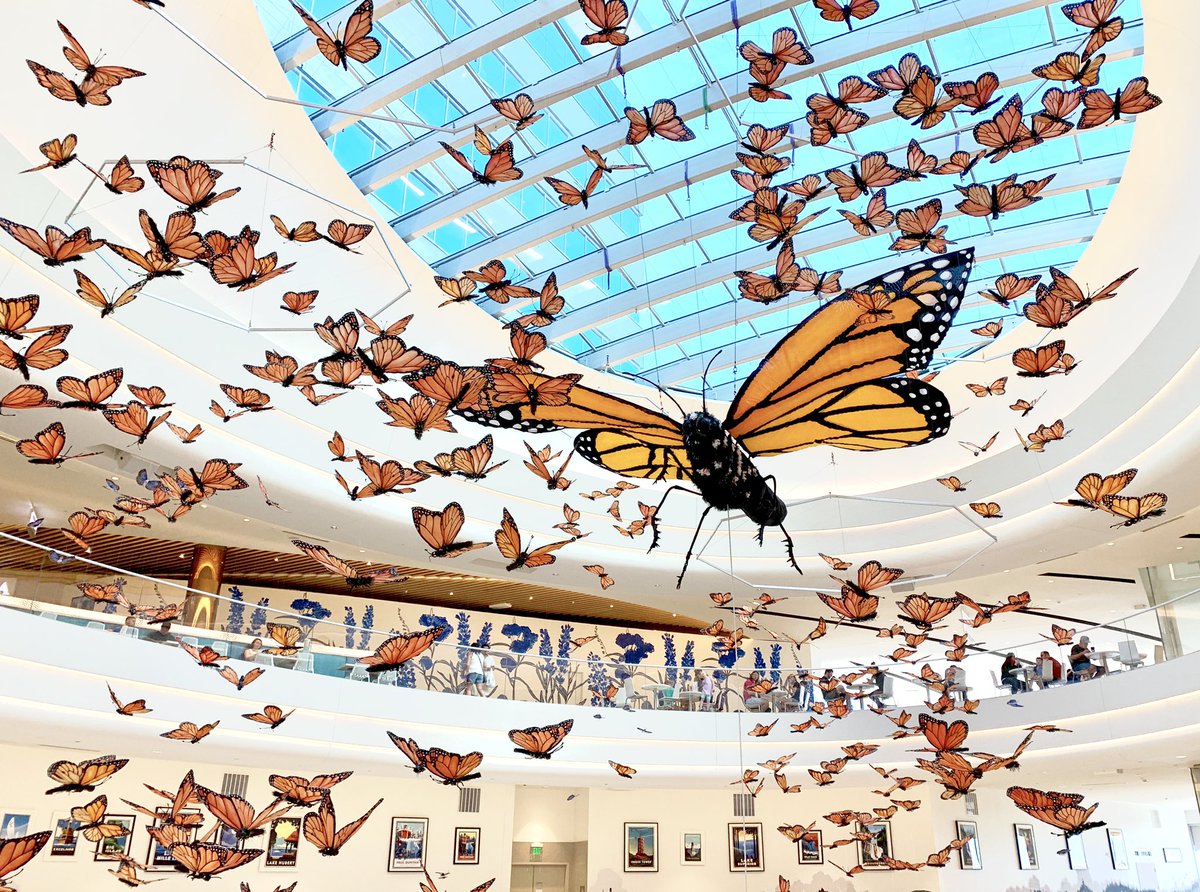 mallofamerica's tweet photo. Have you been to the Atrium to take a look at the #MOAMonarchs yet? π¦ Make sure you stop by to see the beauty of the βKaleidoscopeβ display this #MOASummer! https://t.co/5W7bHBZFF4