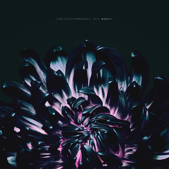 xisumavoid's tweet photo. New Music Blog : The Contortionist "Our Bones" (2019)

https://t.co/LS5H7iwVhR

#thecontortionist #ourbones https://t.co/T89ZYqLx8K