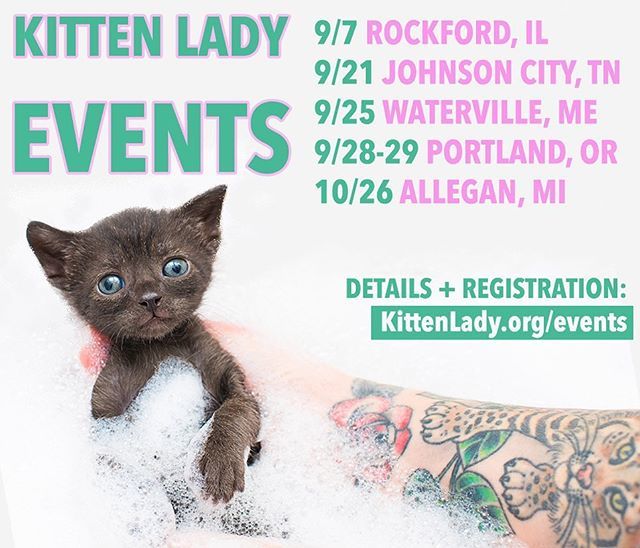 kittenxlady's tweet photo. LET’S DO THIS!

Want to learn how to save kittens with me? Join me for an in-person workshop this fall! 🍁 Which city will I see you in?

Register for an event at https://t.co/v32JTXVVng https://t.co/lPTqFdLeLp https://t.co/uoJODuVWQF