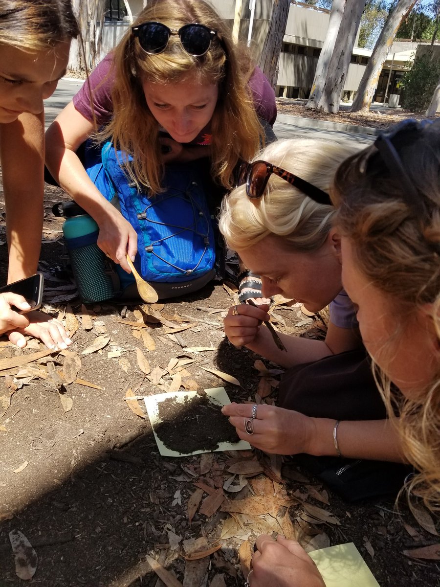 Ts doing science in the field with scientists <a href="/UCSD/">UC San Diego</a> for <a href="/hightechhigh/">High Tech High</a> Equity and Innovation day #cangss  #SDurbanAntProject