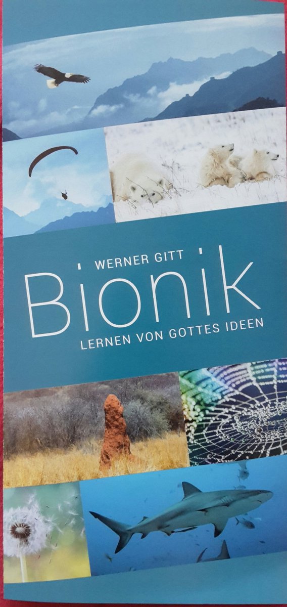 AlexxMeinert's tweet image. #OpeningNightLive

#Echtheit #Realität #Wahrheit #Ernüchterung #Aufbruch #Versöhnung #Liebe #Friede #Reife #Zeit #Ziel