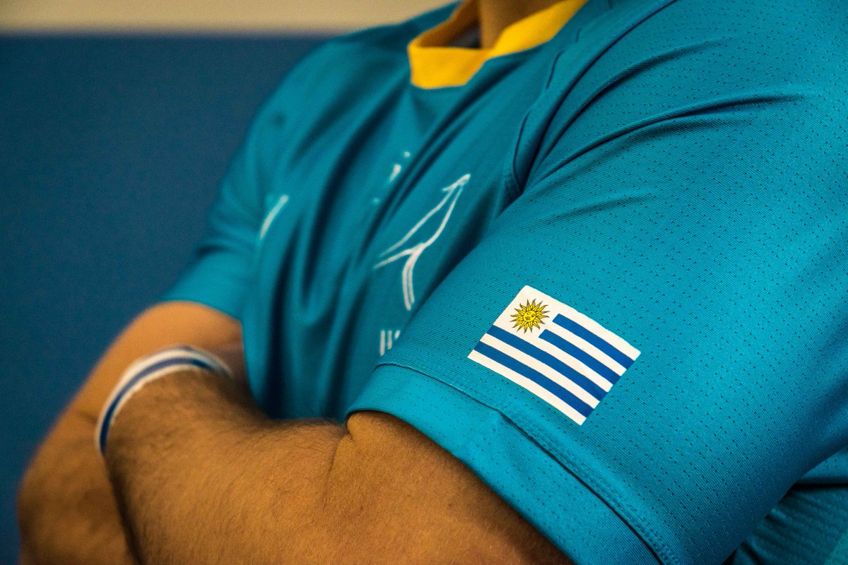 🤩👕 #CamisetaDeLosTeros para la #RWC2019 🏉🇺🇾
