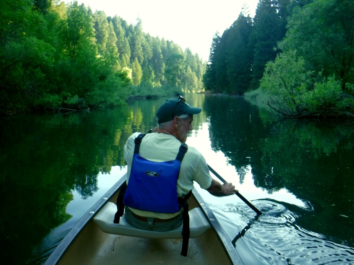 Nick Carlson tweet media