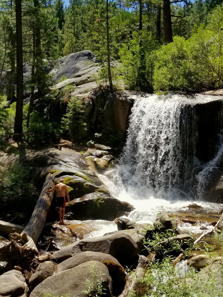 Nick Carlson tweet media