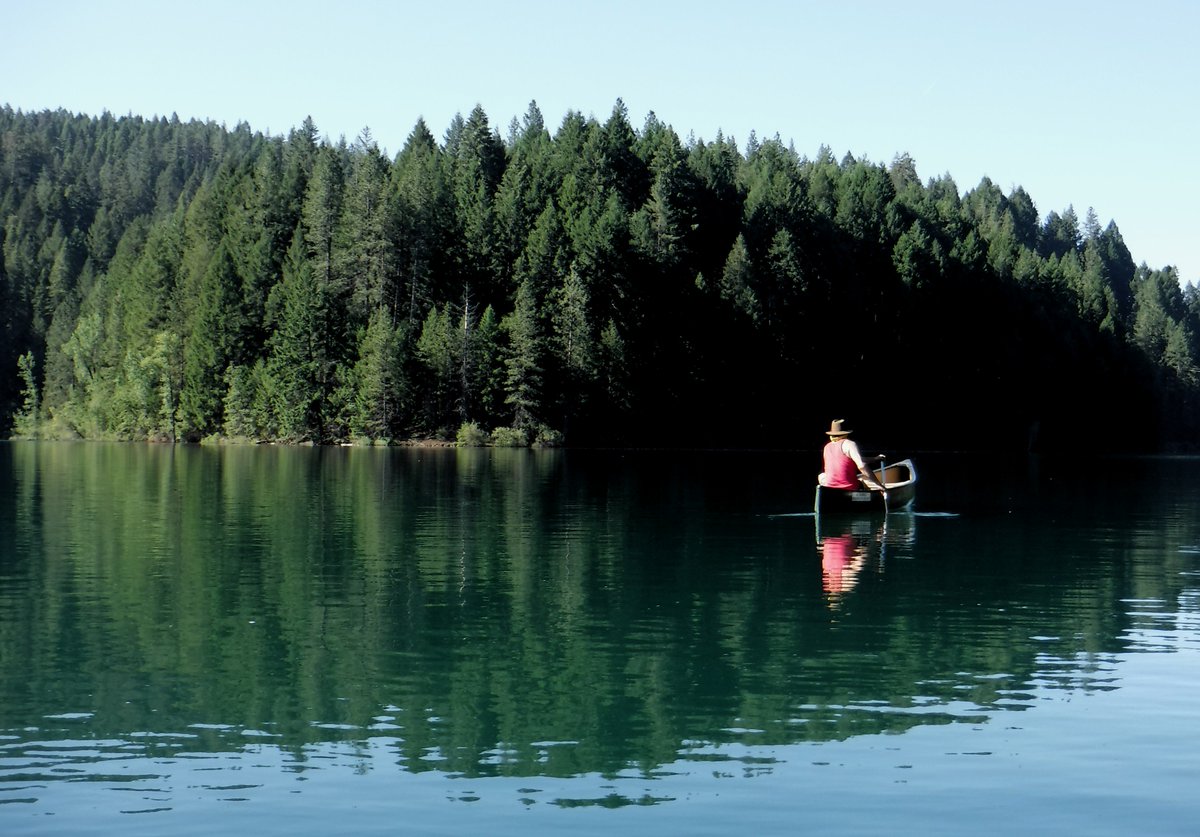 Nick Carlson tweet media