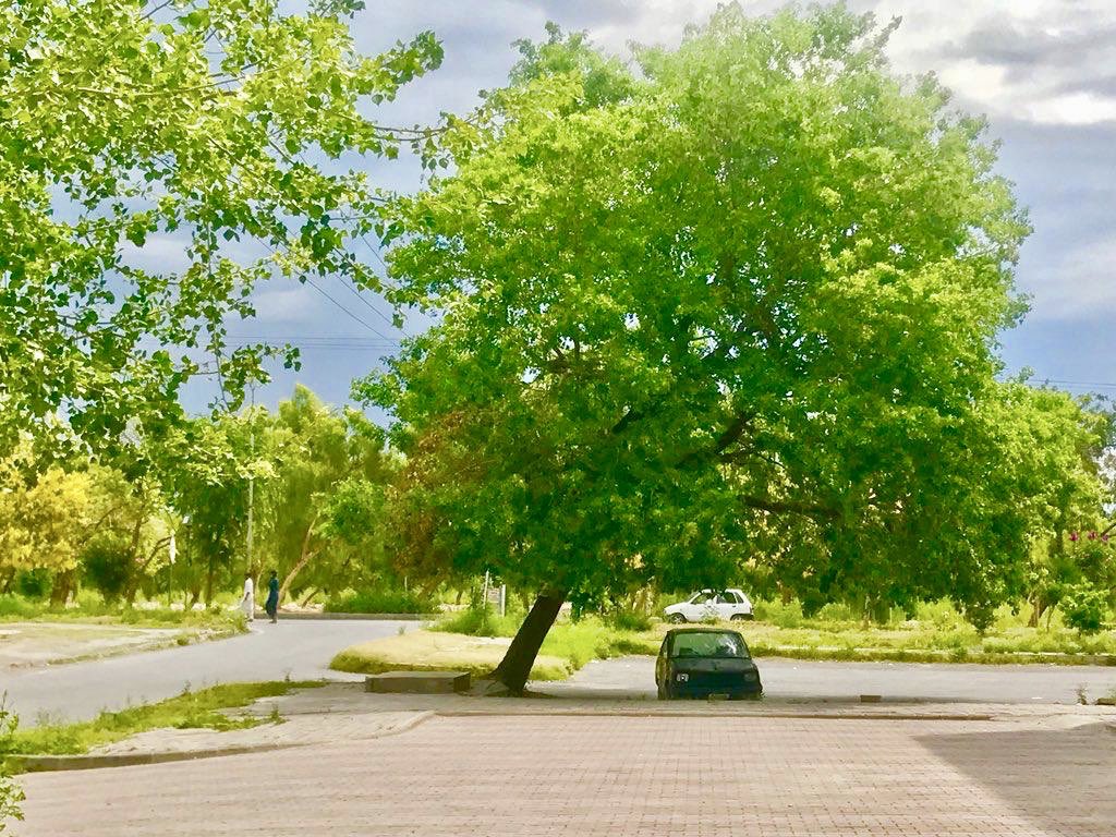 war_shah27's tweet photo. #Photography helps people to see.”
– Berenice Abbott #WorldPhotographyDay       #communicationDesigner #WardahWarisHashmi #BeautifulPakistan ❤️🇵🇰❤️ https://t.co/E3bbzxy9vg