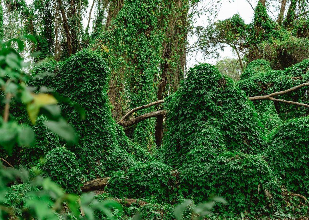 Gwelup Hashtag On Twitter