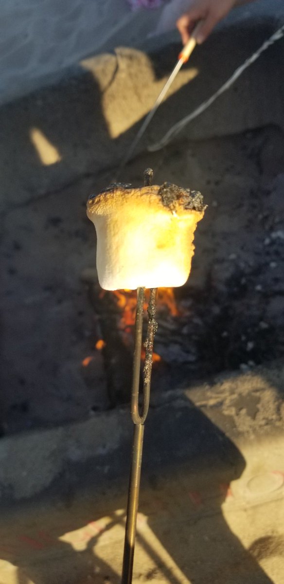 CaptShowtime's tweet photo. The almost perfect toasted marshmallow~

#ShowtimeCon #BeachDay https://t.co/ZNexDUK21Z