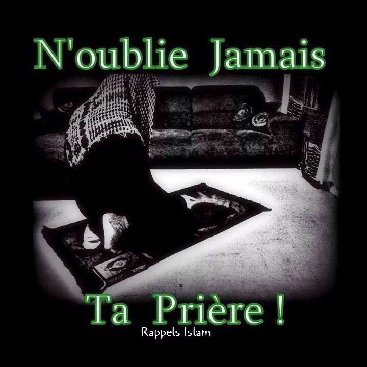 teemaaibrahim's tweet photo. Je me posterne ayant le coeur lourd et me relève ayant un coeur léger.

Si ce n'est pas la prière quelle autre méthode peut vous procurer un tel apaisement..

#alhamdulillah #hasbiyalahuwanimalwakil
#Trusttheprocess
#proudlymuslimath https://t.co/azCmQAi69K