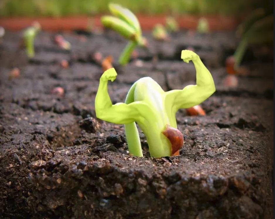 Clovers is live🌱
clovers.network