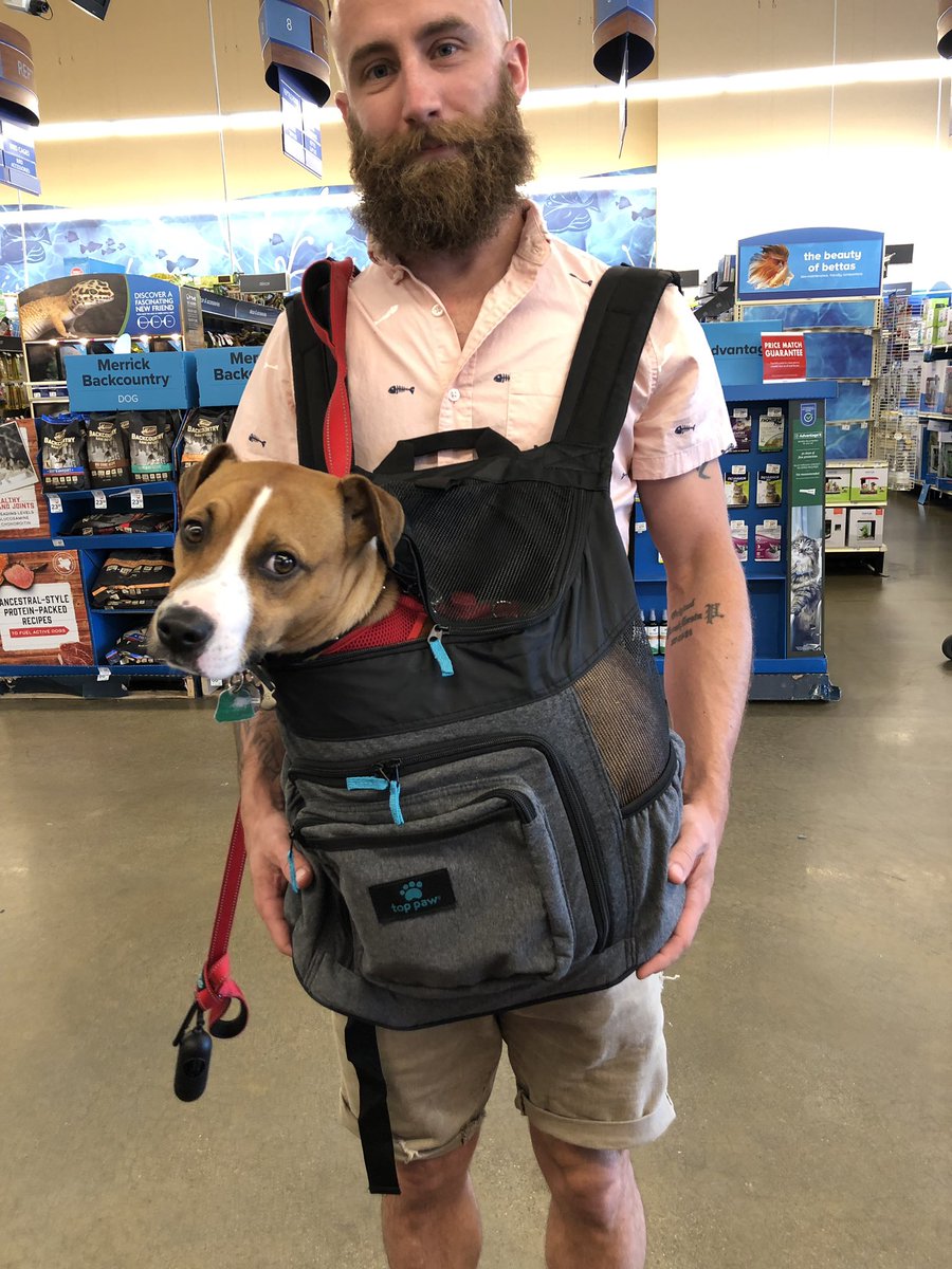 top paw dog backpack