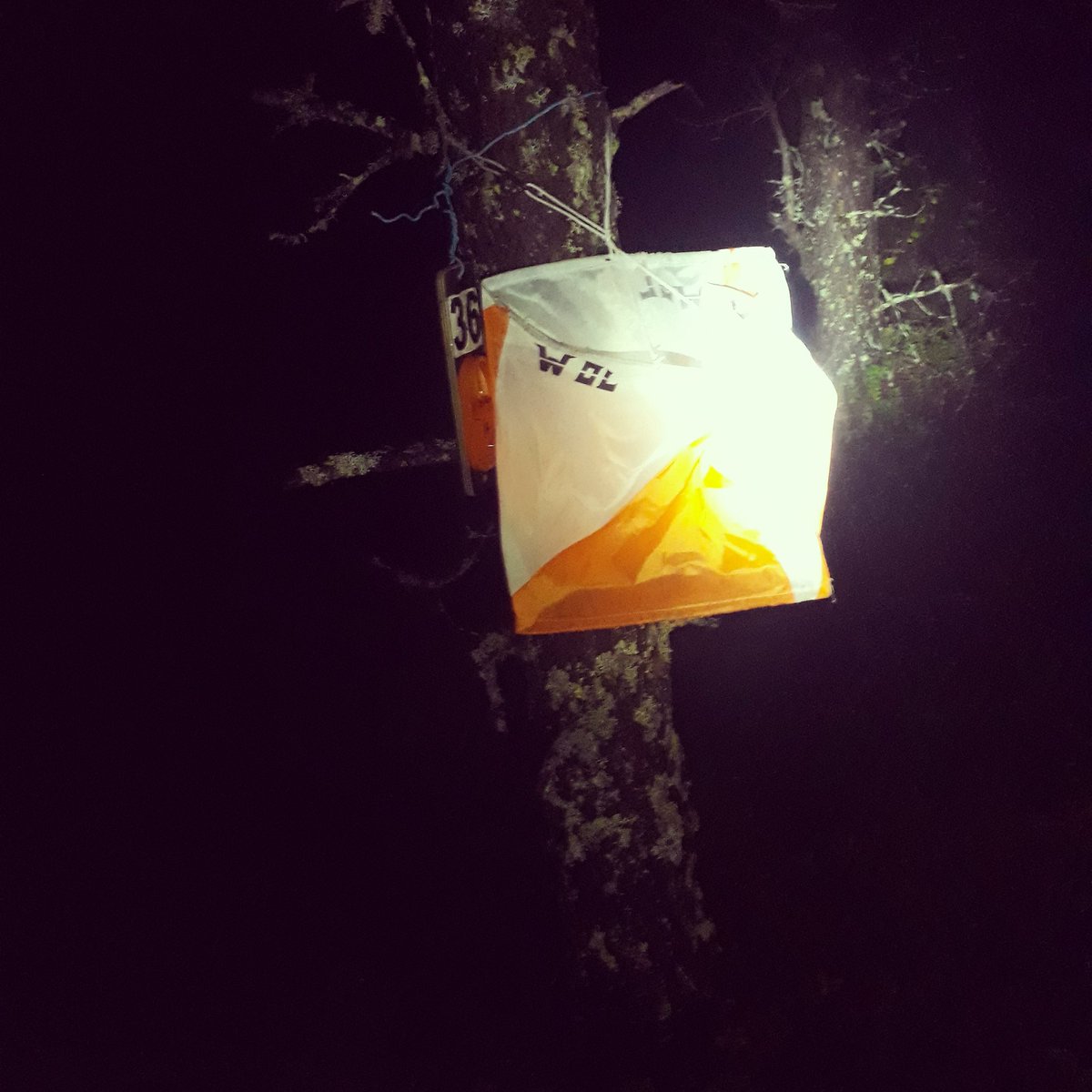 TPussila's tweet photo. Pitkän päivän ilta. #suunnistus #ratamestari #iltarastit #paikalla EkaJaVika #lamppupäässäloputpois https://t.co/RPAHgEc5VS