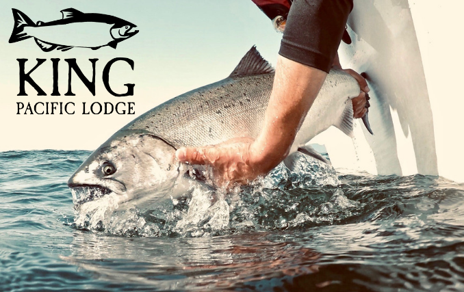 WSFKingPacific's tweet photo. 2019 Fishing Update / 2020 Dates https://t.co/ORtnUynYwv https://t.co/KCTjWzqUBw