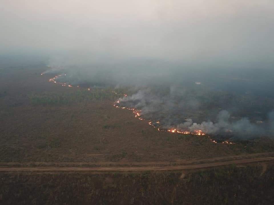 harrystyleir's tweet photo. GALERA TA ACONTECENDO UM PUTA INCÊNDIO NO NORTE DO NOSSO PAÍS E NENHUMA MÍDIA ESTA FALANDO SOBRE, EM RONDÔNIA JÁ FAZ 5 DIAS Q PESSOAS ESTÃO MERGULHADOS EM FUMAÇA E NÃO VÊ A LUZ DO SOL, SUBAM A TAG PARA VER SE ALGUÉM SE PRONUNCIA SOBRE E FAÇA ALGO
#PrayForAmazonia https://t.co/nVAbZKjPjY