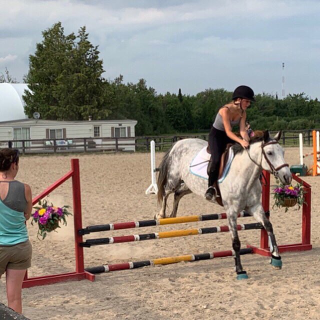 Dufferin Farm Tour sneak peak!  All kinds of horses and farms! Mark you calendar Saturday September 28th rain or shine.  Register at dufferinfarmtour.com to get your map and details! #dufferincounty #dufferinfarmtour #ontag #localfarms