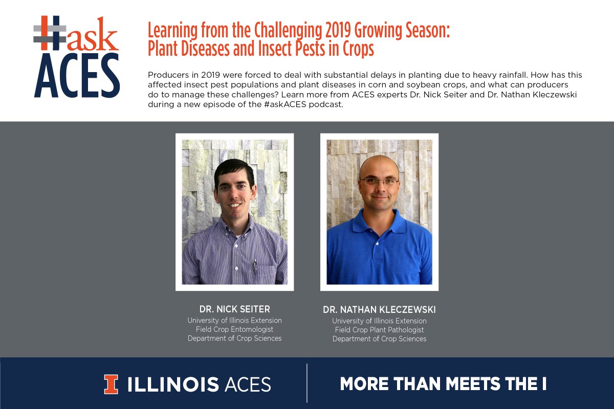 ACESIllinois's tweet photo. Hear from @ILextension and @IllinoisCropSci experts as they discuss insect pests and plant diseases to look out for this year on a new episode of the #askACES podcast. 

And learn more from @nick_seiter and @ILplantdoc at Agronomy Day 8/22! https://t.co/G6w0N3kHJN https://t.co/ujUVUiWq7d
