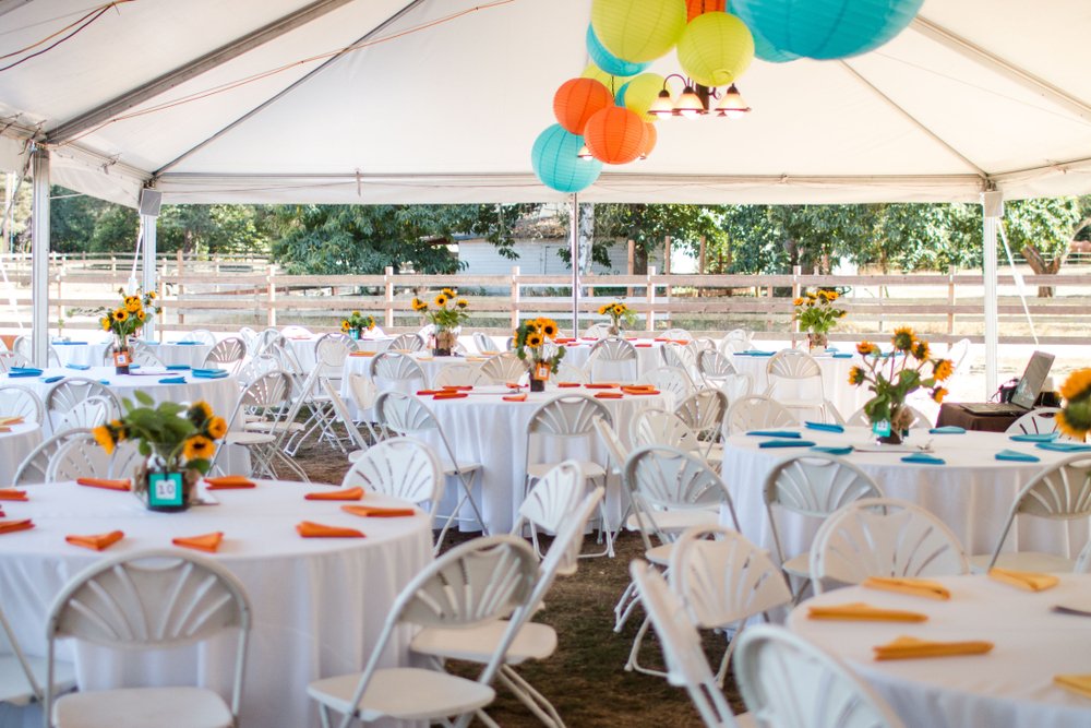 NobleDesignIntl's tweet photo. Whether you are planning a whimsical birthday or an elegant event, Noble Designs has you covered. https://t.co/2x0C2rYxnk https://t.co/M3CSVXKy5K