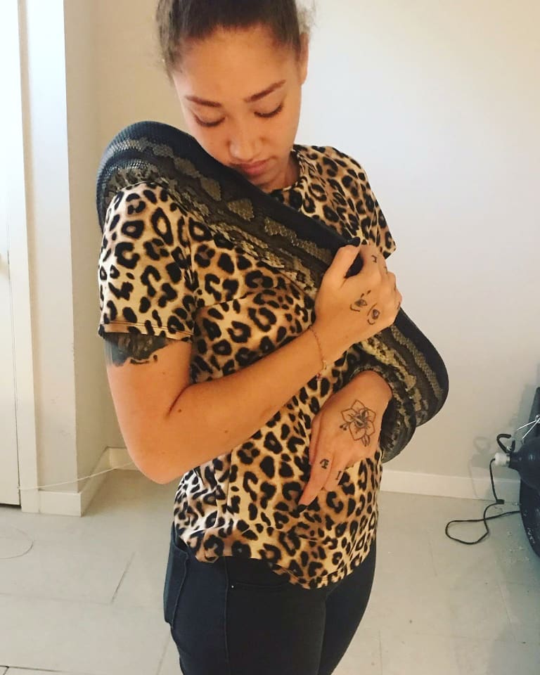 itsDCLXVI's tweet photo. Snake Babes ✨ https://t.co/hB2QjHugwk