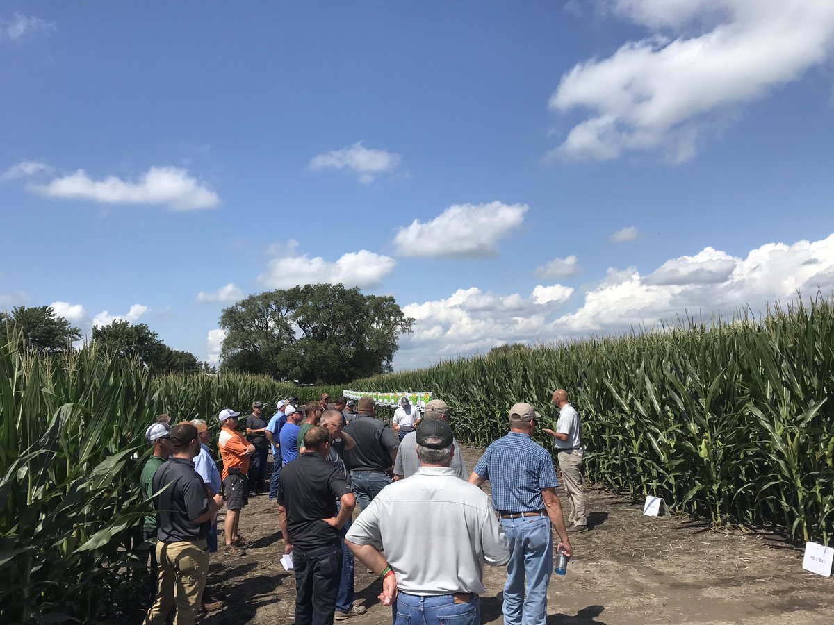 Ryne Brewer tweet media