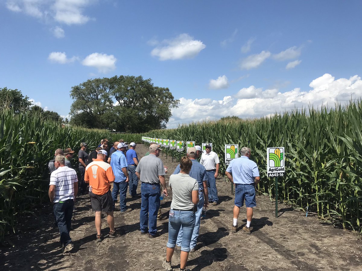 Ryne Brewer tweet media