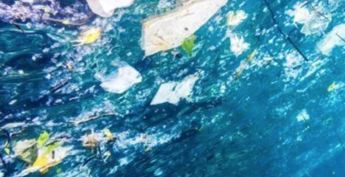 "California communities and taxpayers spend almost $500 million annually to clean up and prevent litter in streets, storm drains, parks, beaches and waterways." #CAMustLead to cut back on #plastic and packaging! #Yeson54 #Yeson1080 calmatters.org/commentary/pla…