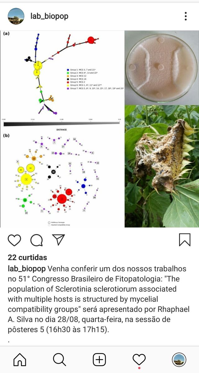 If you are interested in population genetics of plant pathogens, stop by the poster of <a href="/rhaphaelsilva/">Rhaphael Silva</a> et al. @ the Brazilian Congress of #PlantPathology. 

See us on Instagram: @lab_biopop

#51cbfito. #Sclerotiniasclerotiorum #whitemold #populationgenetics