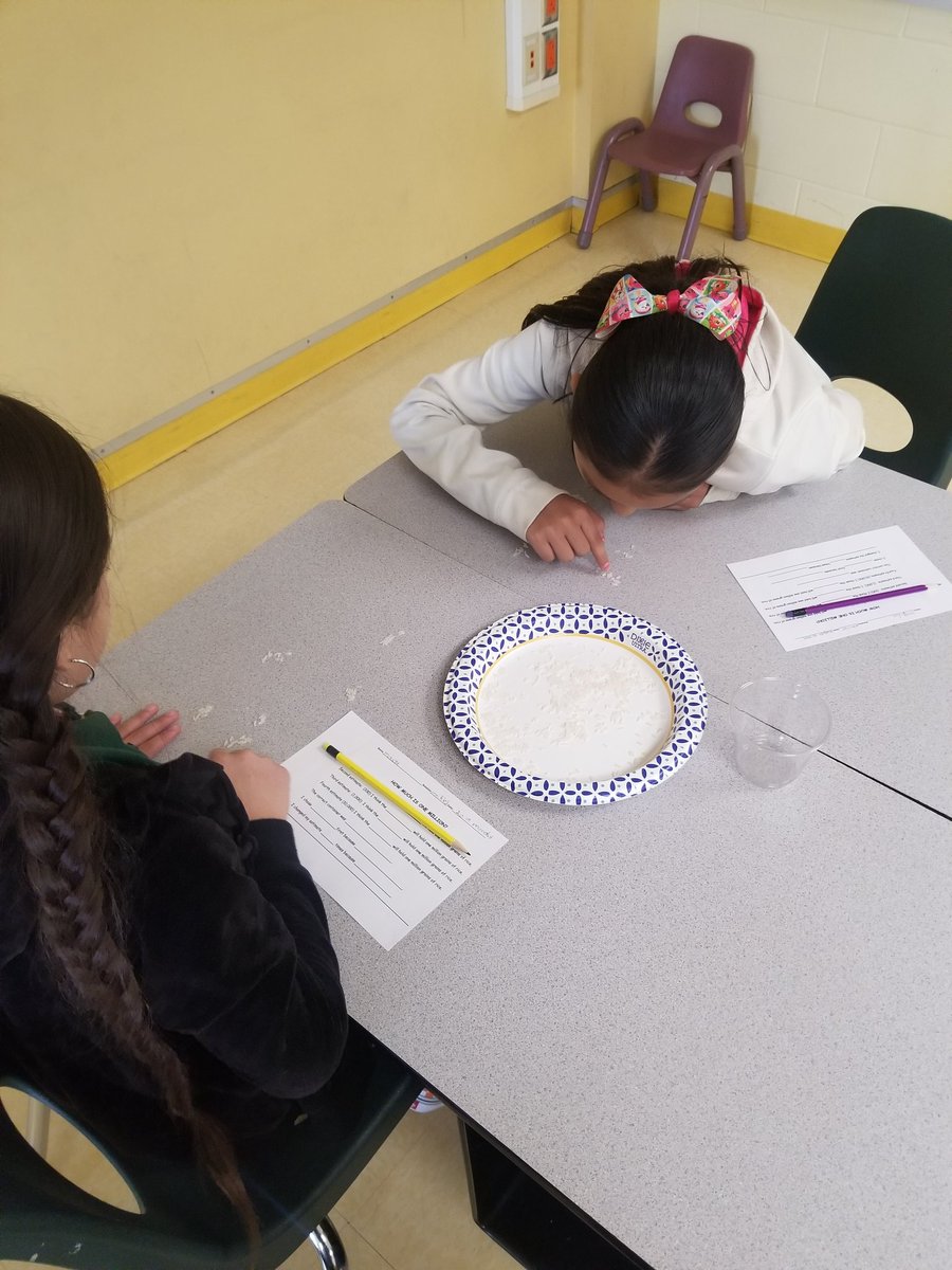 krios1022's tweet photo. Totally having fun in estimating a million grains of rice! So glad my scholars were so into today's learning! #LPEPawsUp #mathrocks https://t.co/Pyostjbjnl