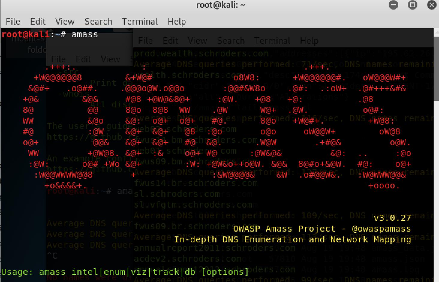 Amass in Kali Linux