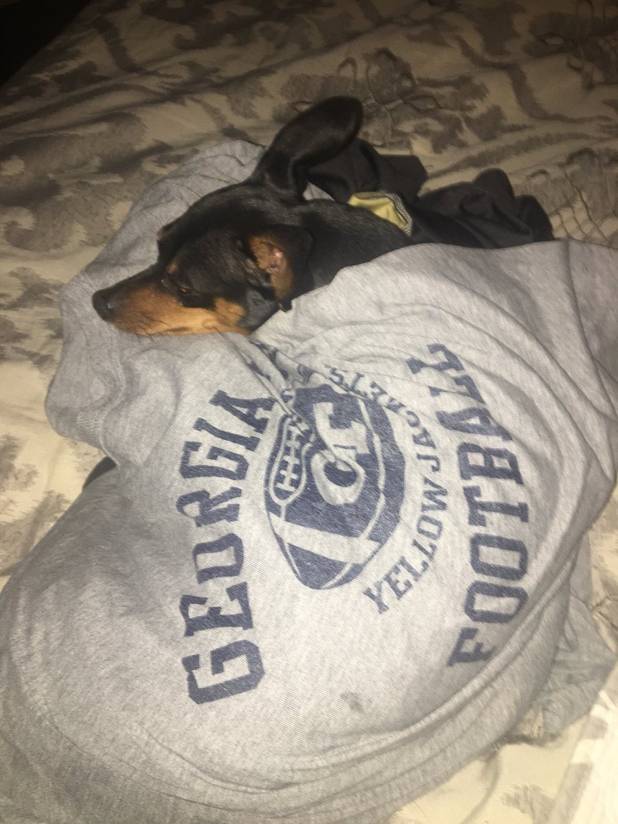 GTBUZZ63's tweet image. #TogetherWeSwarm
#THWG 
#GeorgiaTechFB 
#Jäger