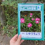 自由すぎる自由帳!？自分で表紙を自在に作れるアイデアがすごい!!
