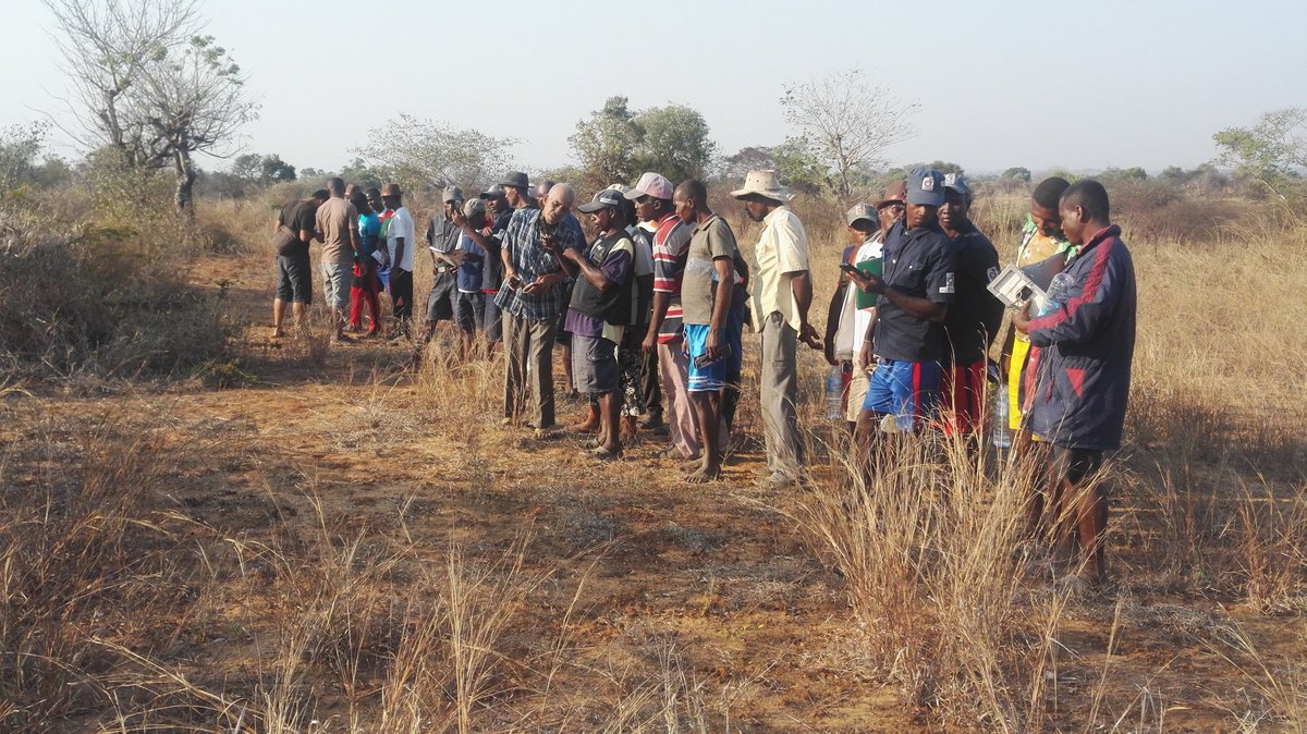 Angelo Ramy tweet media