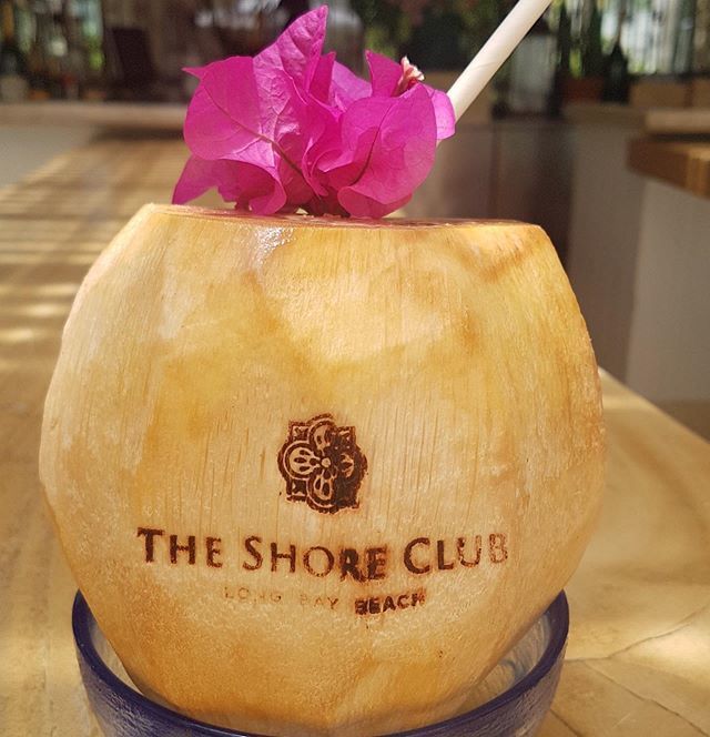 ShoreClubTC's tweet image. Fresh coconuts now being served by the pool #perfectday #coconutdrink #theshoreclubtc #turksandcaicos #longbaybliss ift.tt/2Hf1fbg