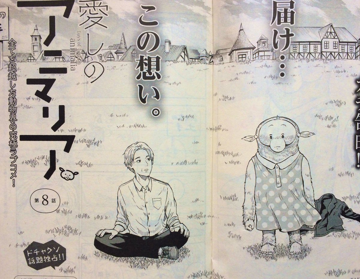 前回お休みだったので久方ぶりの登場!漫画アクションで愛しのアニマリアの最新話が載ってます!

はたしてオラミの恋の行方は‥‥ 