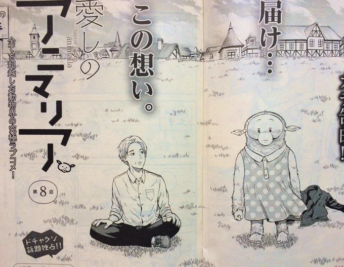 前回お休みだったので久方ぶりの登場!漫画アクションで愛しのアニマリアの最新話が載ってます!

はたしてオラミの恋の行方は‥‥ 