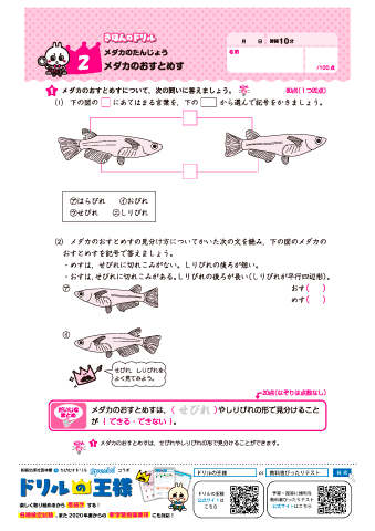 ちびむすドリル على تويتر こちらのコラボサイトでは 新興出版社 小学生向け ドリルの王様 シリーズから 小学１ ６年生 漢字 計算 時計 都道府県 英単語 理科 プログラミングなど その内容の一部を特別に公開ております 確認や復習 予習などに 是非