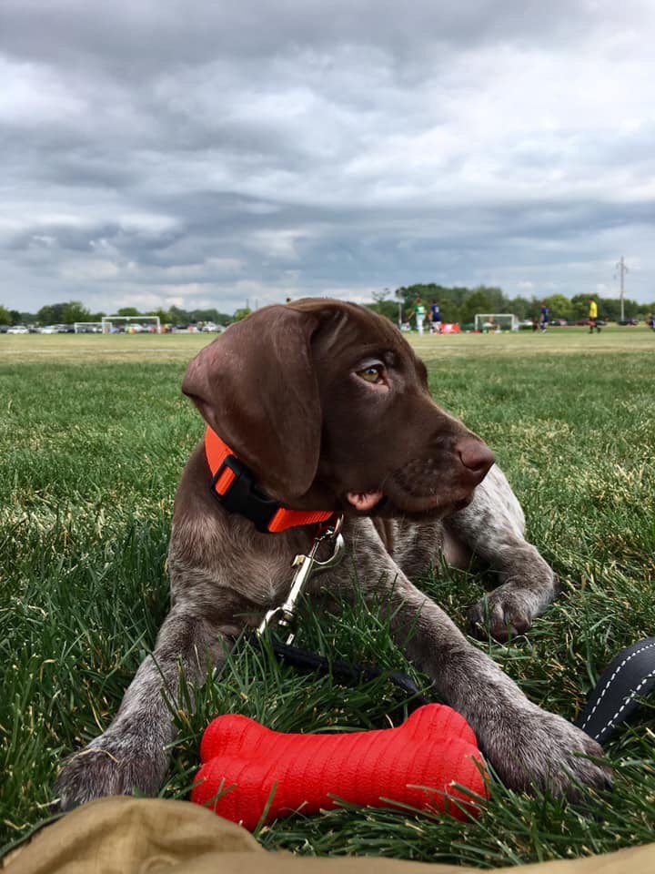 HeavyBound tweet media