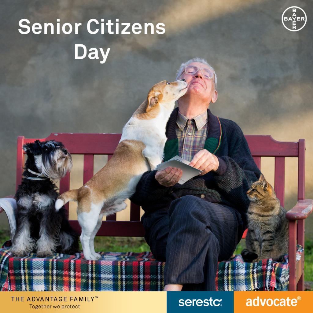 mypetandi_au's tweet photo. Today is #SeniorCitizensDay. 👵 From reducing blood pressure to minimising loneliness and helping with depression, pets can have an incredibly healing influence. 💗https://t.co/zO3pOd5NEC https://t.co/5YPKn7kkKp