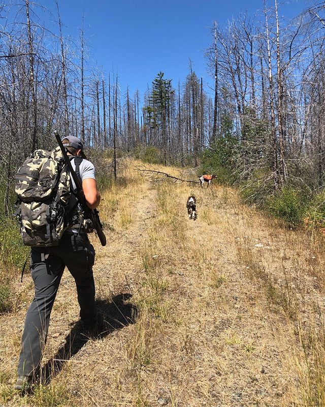 Checking trail cams, while also getting false charged by a momma black bear... good times!!! @kuiu_official
•
•
•
#Hunting #BearHunting #HuntOregon #KUIU