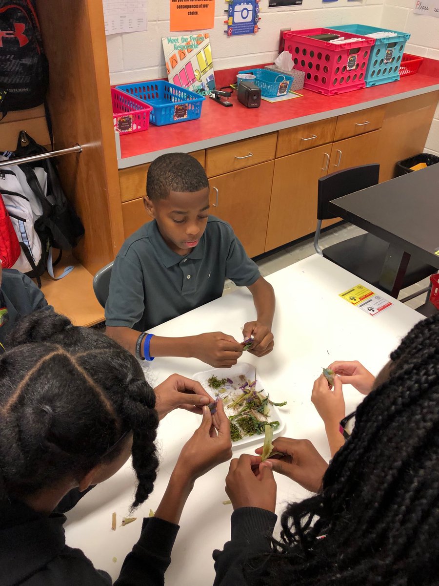mrsstimmel's tweet photo. What better way to learn about vascular vs. nonvascular plants then to investigate. #futurebotanists @WES_HCS https://t.co/KjTjUPpMRT