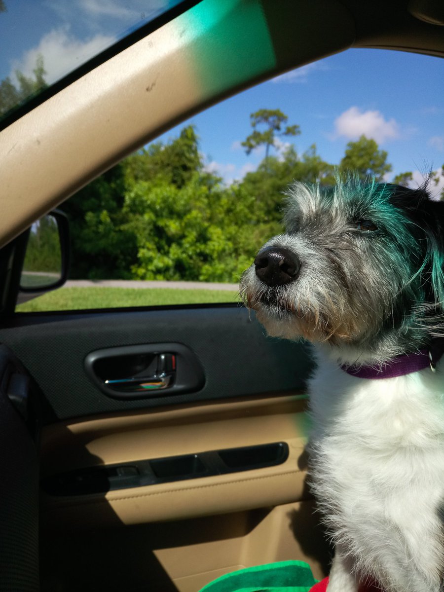 Anthony Inswasty tweet media