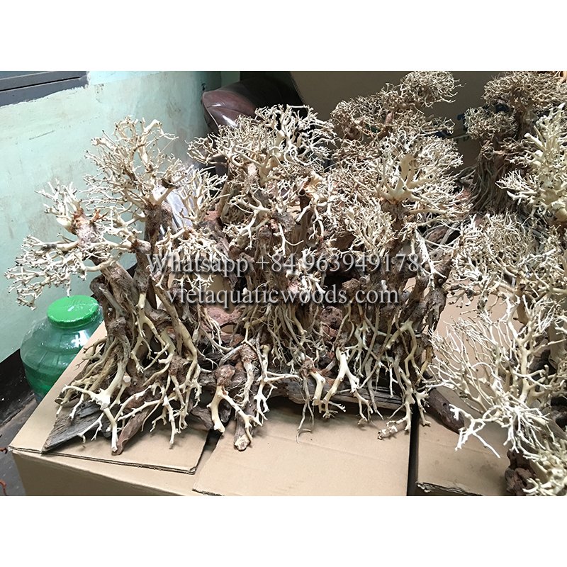 Really big natural driftwood prepared for exporting and creating new products

#wholesaler #Vietnamesenaturaldriftwood #bonsaidriftwood #exportingworldwide #highquality #fastdelivery #driftwoodmanufacturer #driftwoodcompany #cheapprice