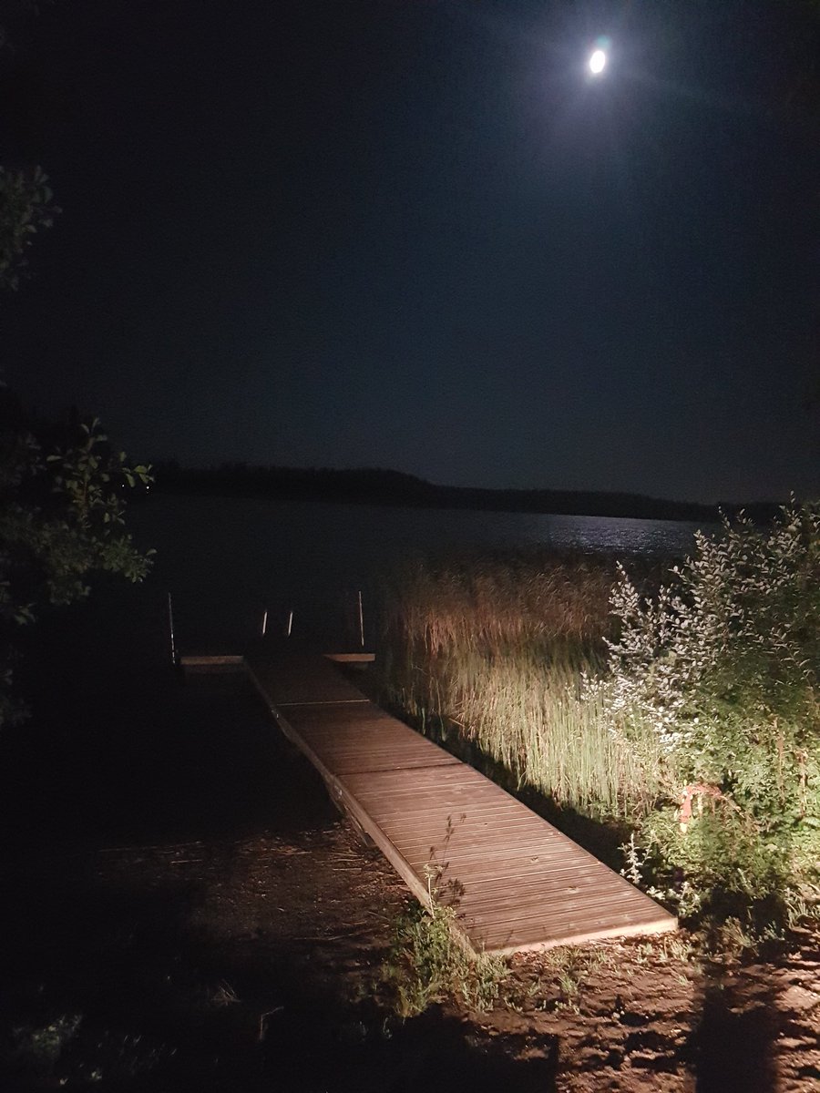 MinnaMalmstrm's tweet photo. Vesi oli oikeasti lämmintä kun ulkona oli vain +8 kello 3.20. Kesää on vielä jäljellä yöuinteja varten. #hevosihmisenvapaaaika #välillöjotainmuuta #kesäyöt https://t.co/dxDLdwjdpp