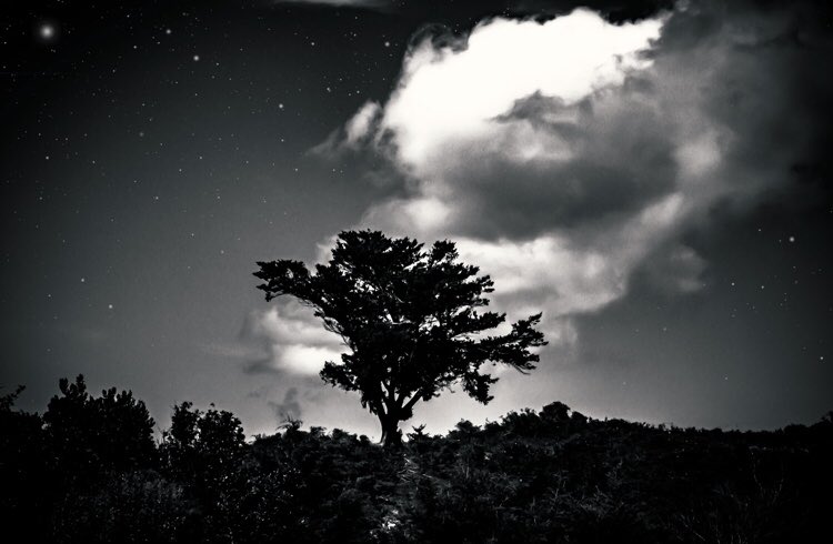 donovanholmes16's tweet photo. #photography #blackandwhitephotography https://t.co/Ax8WInbfEC