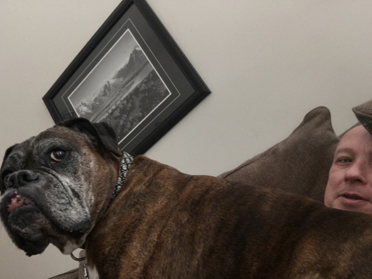 I tried to take a nap of the couch this afternoon, but Walther (Lucifer) had other ideas.