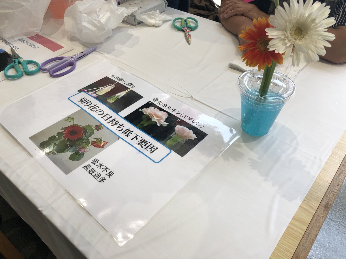 OPsweetscontest's tweet photo. みなと御前崎スイーツコンテスト2019
なぶら館1階ではみなと御前崎茶会、メンテナンスフリー切花講座が行われています
ぜひお越しください
#牧之原 #御前崎 #御前崎スイーツコンテスト #茶菓子 #お茶 #なぶら館  #ポートフェスタ #ぱしふぃっくびいなす #つゆひかり https://t.co/AZ2936zkSy