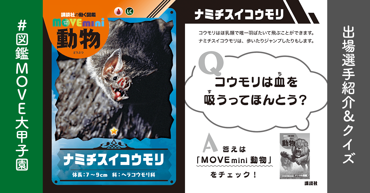 講談社の動く図鑑move 公式 最新刊は あつまれ どうぶつの森 島の生きもの図鑑 選手紹介 ナミチスイコウモリ 動物組 国語b 算数c 理科b 社会s 体育d 世界でたった３種の血を主に食べるコウモリのなかま さらに哺乳類の血を吸うのはこの
