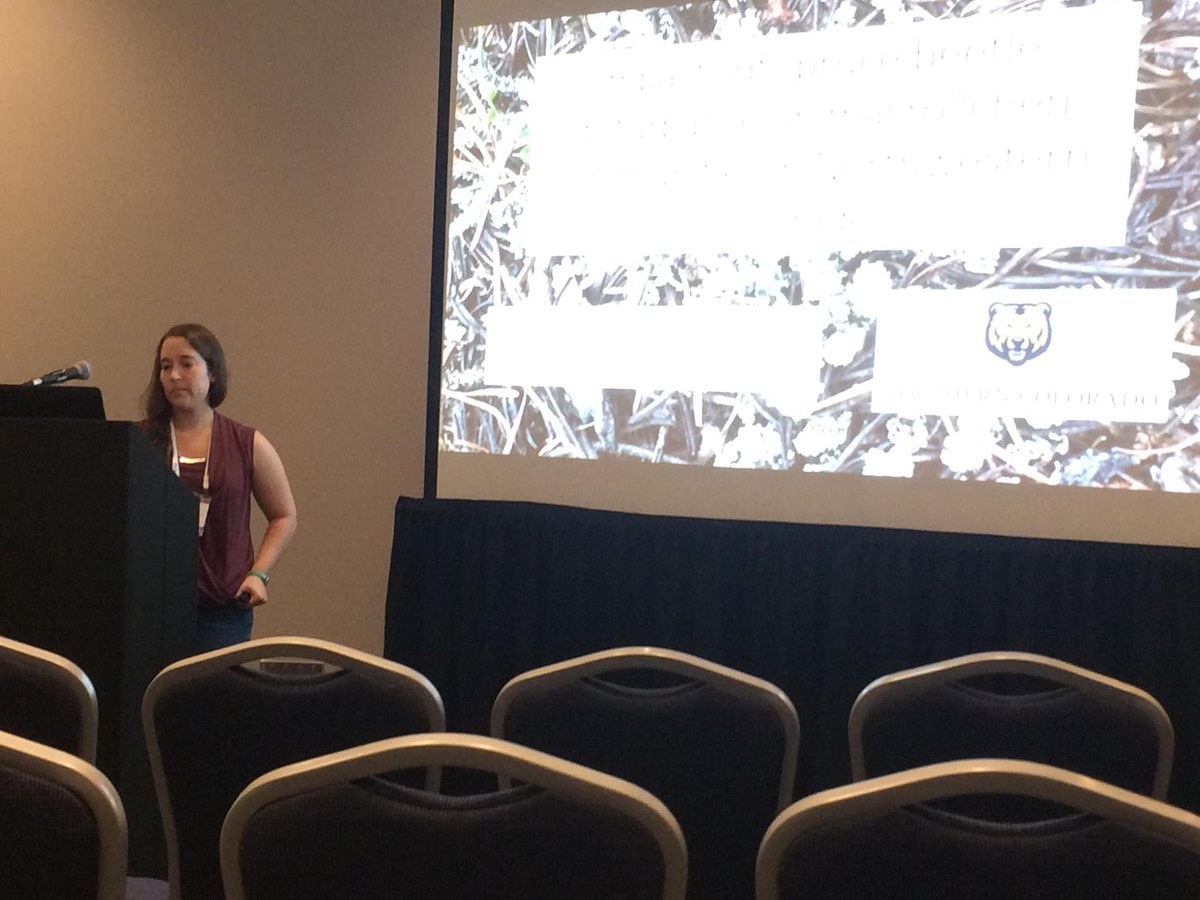 WIGSunco's tweet photo. Second up - Anna Freundlich presented at ESA on lichen community changes based on bark beetle kill https://t.co/yhs8FCPKRu