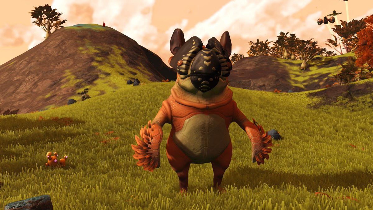 NessaAlaster's tweet photo. @NoMansSky Owlbear and Tiki say thank you! You and the HG team have done an AMAZING job! Keep up the good work! https://t.co/GLfe3ydNaJ